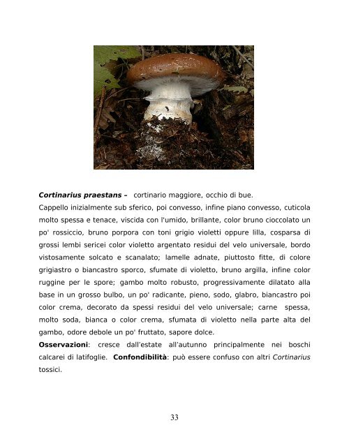 commercilizzazione dei funghi spontanei epigei - AUSL Città di ...