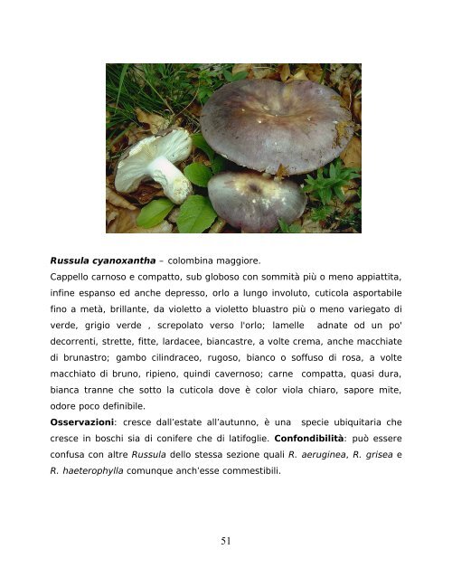 commercilizzazione dei funghi spontanei epigei - AUSL Città di ...