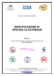 IDENTIFICAZIONE DI SPECIES CLOSTRIDIUM - italbioforma