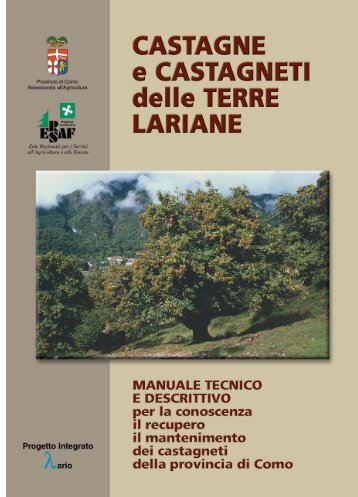 Castagni e castagneti delle terre lariane - Ersaf