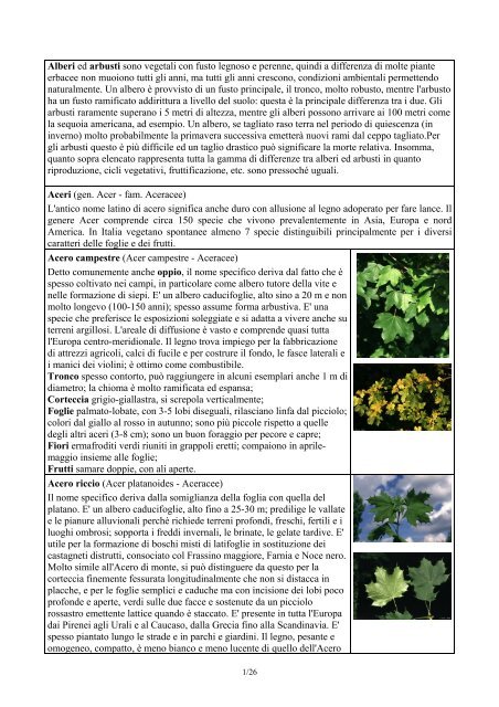 Descrizione Alberi - CAI Cernusco s/N