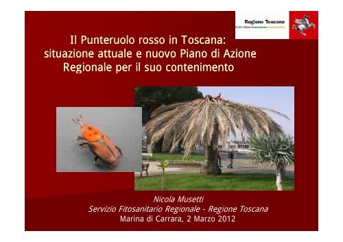 Il Punteruolo rosso in Toscana - AMIA Spa
