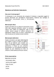 Microscopio ottico - cellule vegetali II - Liceo Daniele Crespi