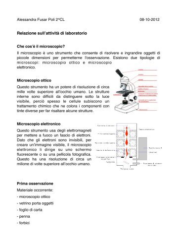 Microscopio ottico - cellule vegetali II - Liceo Daniele Crespi