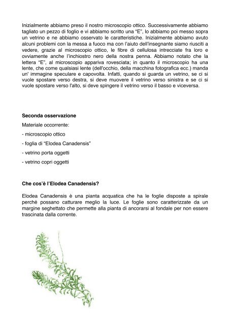 Microscopio ottico - cellule vegetali II - Liceo Daniele Crespi