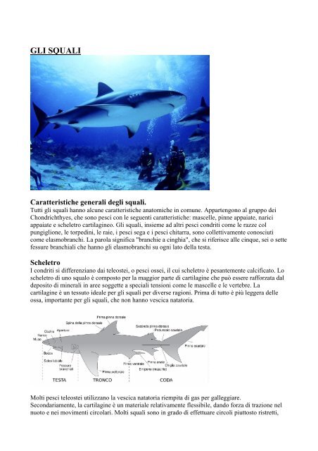 GLI SQUALI - In Campania