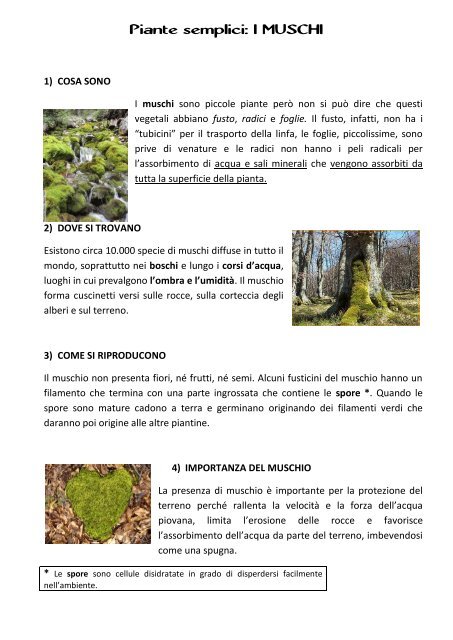 Lombra Della Montagna Pdf