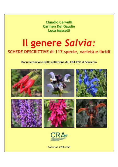 Il genere Salvia: