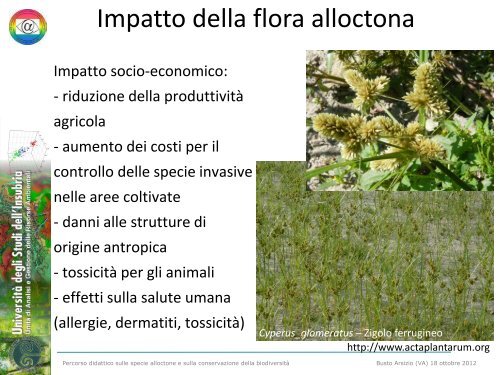 Flora Alloctona (Università dell'Insubria) - Liceo Daniele Crespi