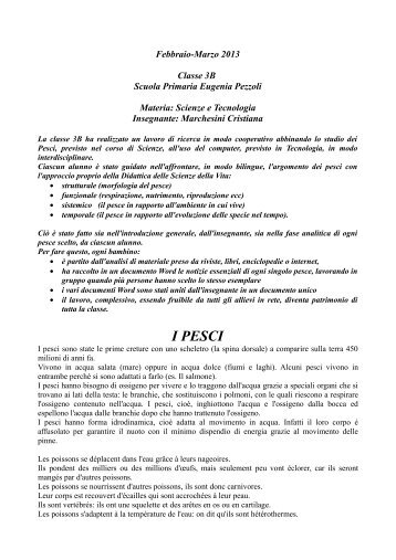 Ricerca sui pesci 3B primaria