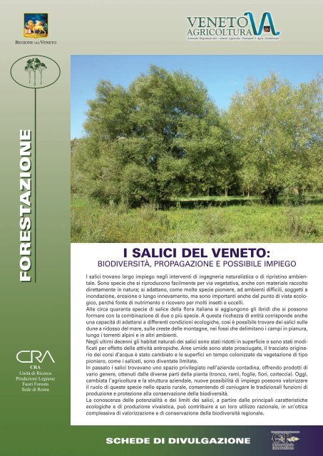 Scarica la scheda in formato .pdf - Veneto Agricoltura
