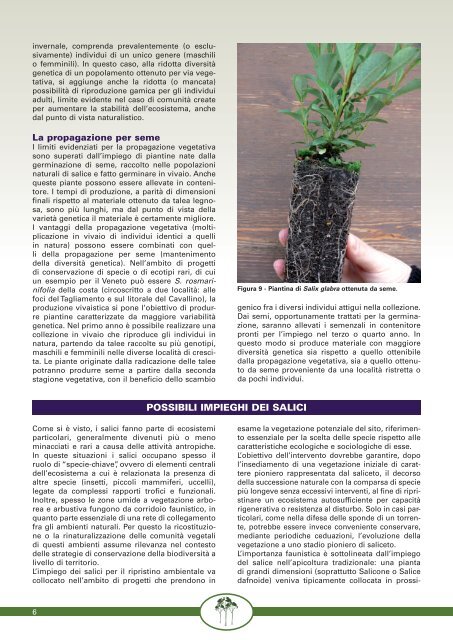 Scarica la scheda in formato .pdf - Veneto Agricoltura