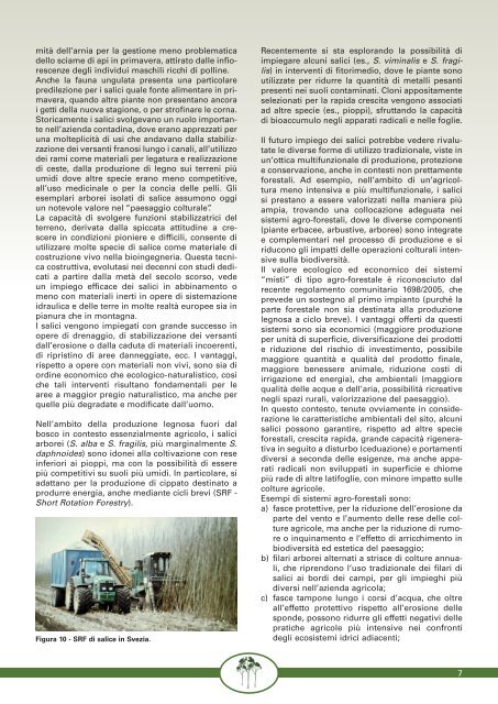 Scarica la scheda in formato .pdf - Veneto Agricoltura