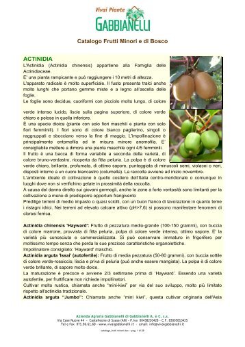 Catalogo Frutti di bosco, rari e tropicali - Vivai Piante Gabbianelli
