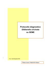 Protocollo diagnosi Gibberella circinata.pdf - Strateco