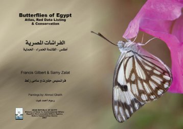 Download Butterflies of Egypt - Ahmed Gheith