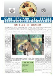 Prove di lavoro - Club Italiano del Beagle