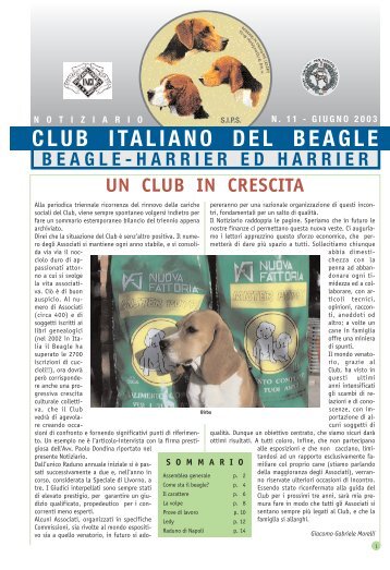 Prove di lavoro - Club Italiano del Beagle