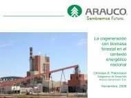Cogeneración con Biomasa en la Industria Forestal ... - Corma Bio Bio