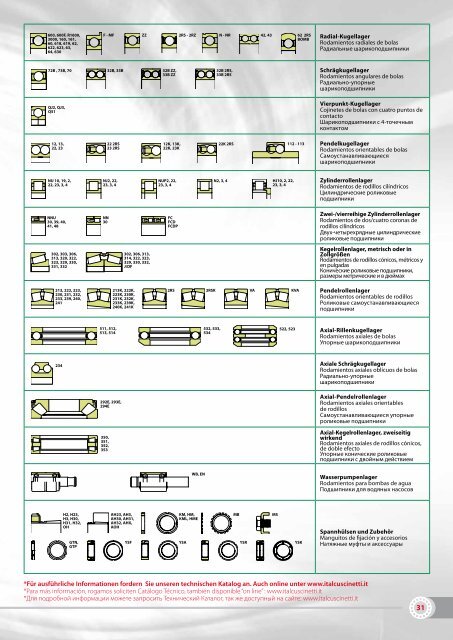 shanghai italcuscinetti co., ltd.