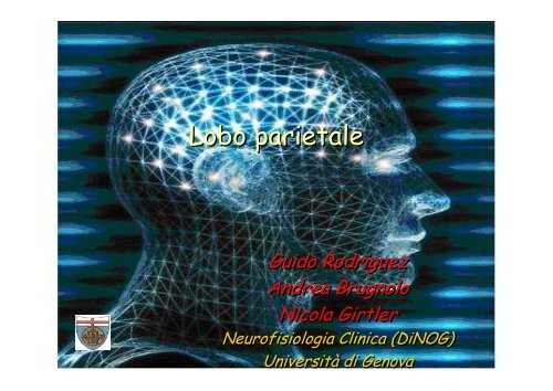 Lobo parietale - Neurofisiologia.unige.it