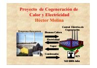 Proyecto de Cogeneración de Calor y Electricidad - Programa de ...