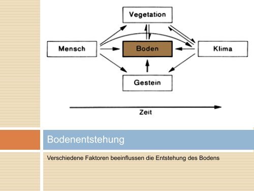 Bodenkultur - Gymnasium-moelln.de