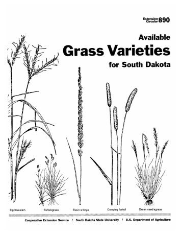 Available Grass Varieties for South Dakota - South Dakota State ...