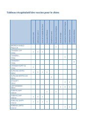 Tableau récapitulatif des vaccins pour le chien