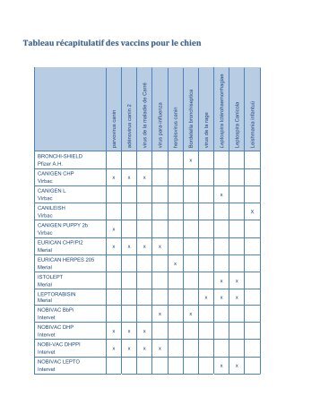 Tableau récapitulatif des vaccins pour le chien