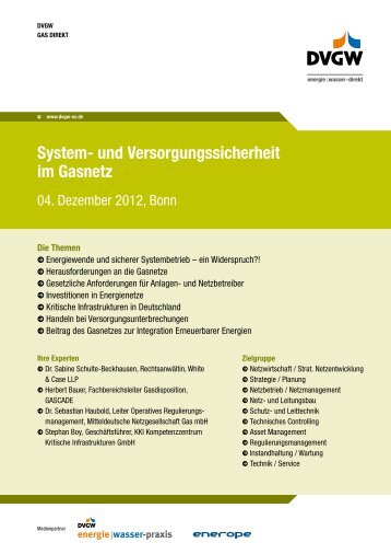 System- und Versorgungssicherheit im Gasnetz - DVGW Service ...