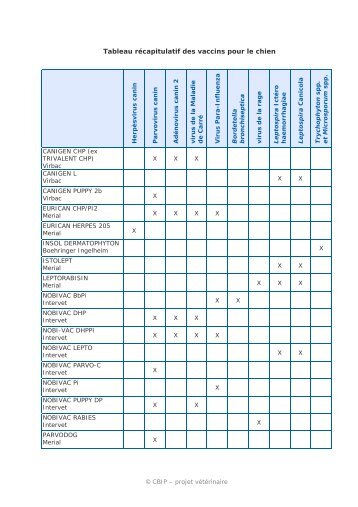 Tableau rcapitulatif des vaccins pour le chien - Les Amis de Lancelot