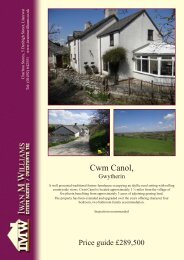 Cwm Canol, - Iwan M Williams
