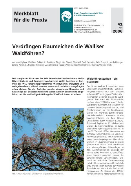 Verdrängen Flaumeichen die Walliser Waldföhren? Merkblatt ... - WSL