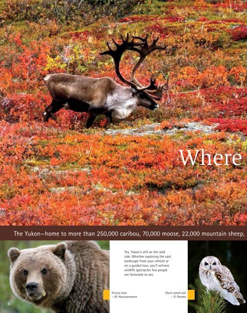 2013 VACATION PLANNER - Travel Yukon