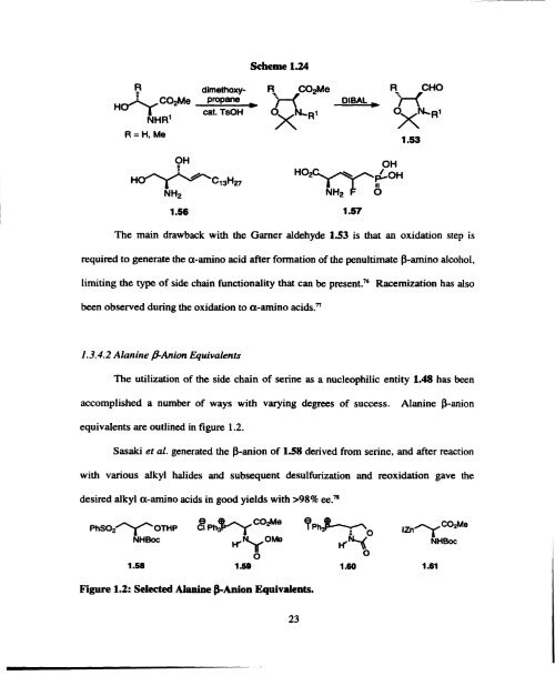 Solution and Solid Phase Synthesis of Unusual a-Amino Acids From