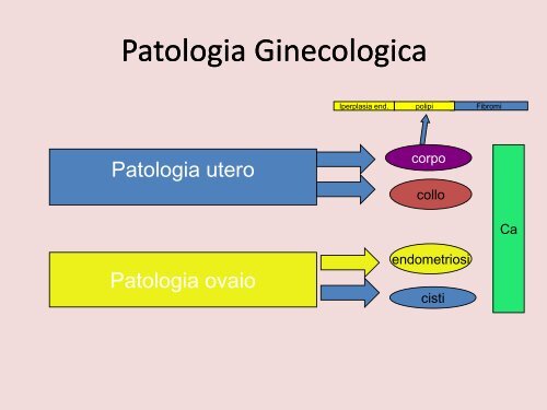 Fibrosi e fibromi dell'utero, polipi, iperplasia endometrio