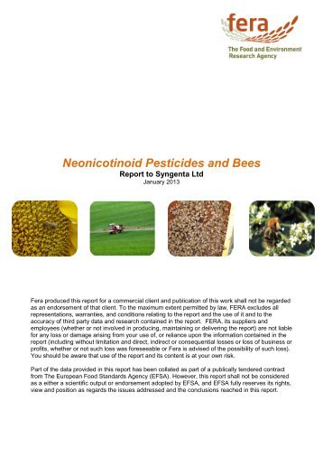 Neonicotinoid Pesticides and Bees - The Food and Environment ...