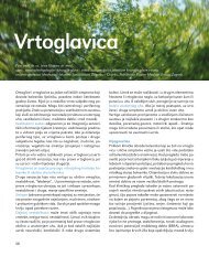 Vrtoglavica - Poliklinika Klapan Medical Group