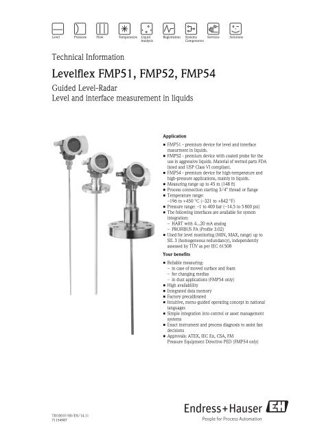 Levelflex FMP51, FMP52, FMP54 - Access Instrumentation
