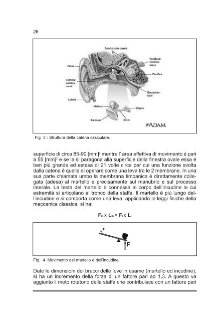 Tiroidectomia Totale: How I do it - AOOI