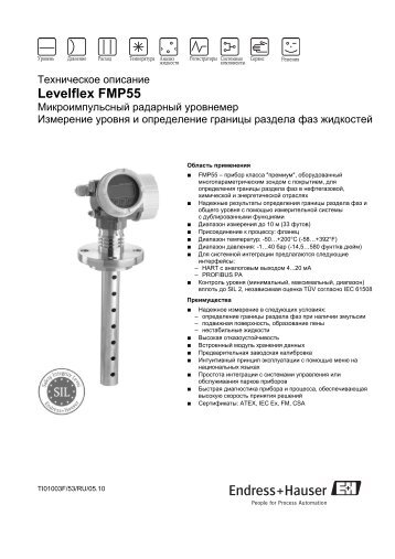 Levelflex FMP55