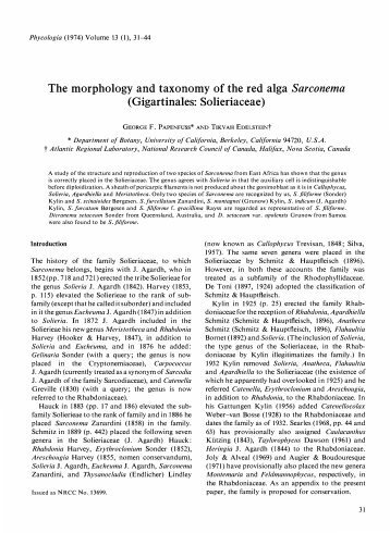 The morphology and taxonomy of the red alga ... - SeaweedAfrica