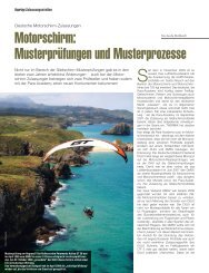 Motorschirm: Musterprüfungen und Musterprozesse - Gleitschirm