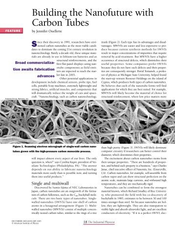 Building the Nanofuture with Carbon Tubes - American Institute of ...