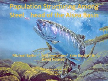 Population Structure Alsea Basin Steelhead - Banks