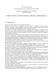 curriculum più dettagliato - DICA