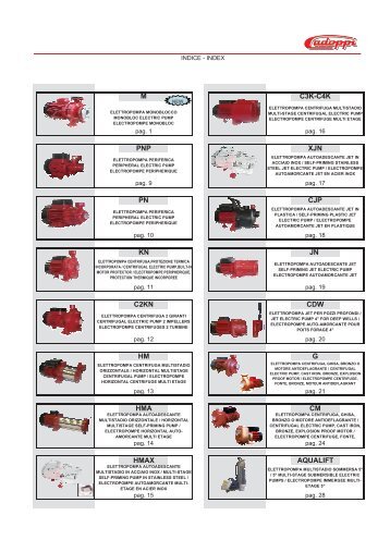 Pompe elettriche, elettropompe, centrifughe ... - Coassifin.It