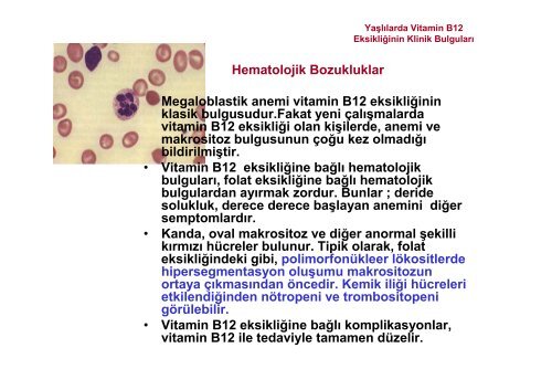 Vitamin B 12.pdf