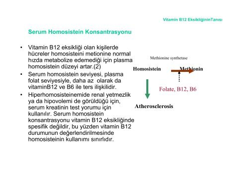 Vitamin B 12.pdf